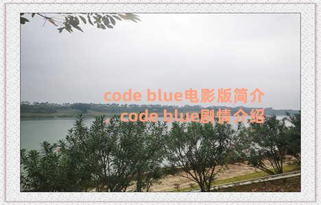 code blue电影版简介，code blue剧情介绍